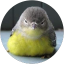 Christina profile picture